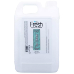 Groom Professional Fresh Ear Cleaner - eeterlike &otilde;lide ja tsitruseekstraktidega k&otilde;rvapuhastuslahus