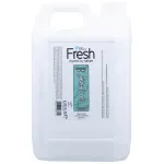 Groom Professional Fresh Ear Cleaner - eeterlike &otilde;lide ja tsitruseekstraktidega k&otilde;rvapuhastuslahus