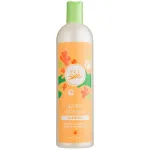 Pet Silk Golden Turmeric Shampoo - niisutav ja l&auml;ikiv &scaron;ampoon koertele, kontsentraat 1:6
