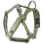 Hurtta Razzle - Dazzle Y - Rakmed Hedge - reguleeritav kaitserakmed koertele - 35 - 45cm