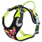 Hurtta Weekend Warrior rakmed Lagrits - rakmed aktiivsetele koertele - 80 - 100 cm