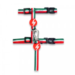 Dashi rohelise ja punase triibuga kassirakmed + rihm - rakmete ja rihma komplekt kassidele, rohelised ja punased triibud