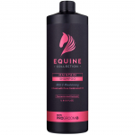 ProGroom Equine Collection Maintain Shampoo - Hobuse &scaron;ampoon palsamiga, kontsentraat