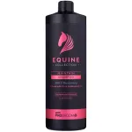 ProGroom Equine Collection Maintain Shampoo - Hobuse &scaron;ampoon palsamiga, kontsentraat