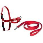 PetSafe Easy Walk Rakmed - rakmete ja jalutusrihma komplekt koertele