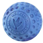 Kiwi Walker Let's Play Ball - koerapall