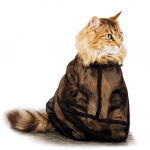 Show Tech Kassikott - kassi pesemisv&otilde;rk, kott