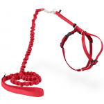 PetSafe Easy Walk kassi rakmed - rakmed ja bungee rihm kassidele