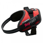 Julius - K9 IDC koerarakmed - k&otilde;rgeima kvaliteediga rakmed koertele - Suurus: Mini - Mini