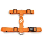 Dashi Solid Back Rakmed - reguleeritav kaitserakmed koertele