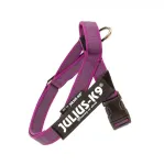 Julius - K9 IDC V&auml;rviline & Hall Rihmtraksid Roosa - koeratraksid, fuksia - Mini - Mini