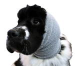 Show Tech Ear Buddy XL - kuivatamisrihm argadele koertele, suur