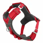 Kurgo Journey Air rakmed - jooksurakmed koertele