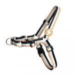 Dashi pruunide ja mustade triipudega esik&uuml;lje rakmed - t&otilde;mbamisvastased rakmed koertele, pruunid ja mustad triibud