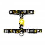 Dashi La Casa De Papel Golden Back Rakmed - reguleeritav kaitserakmed koertele, inspireeritud sarjast "Rahapada"