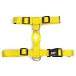 Dashi Solid Back Rakmed - reguleeritav kaitserakmed koertele, kollane