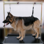 Show Tech raske hooldusrihma komplekt - reguleeritavate nailonist hooldusrihmade komplekt, pikkus ja laius reguleeritavad.