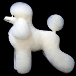 Hr. Jiang Puudli T&auml;iskeha Karv Lammas - vahetatav karv Toy Poodle'i groomingu mannekeenile