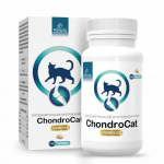 Pokusa ChondroCat 110 tbl. - toidulisand, mis toetab kasside luustiku ja liigeste s&uuml;steemi
