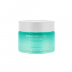 Mizon Cicaluronic Moisturizer (kuivale ja tundlikule nahale) &ndash; niisutav nahakreem 50ml