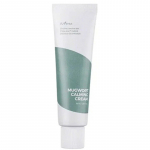 Isntree mugwort rahustav kreem &ndash; rahustav nahakreem 50ml
