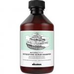 Davines Natural Tech detoksifitseeriv kooriv &scaron;ampoon 250ml