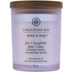 Chesapeake'i lahe r&otilde;&otilde;mu- ja naeruk&uuml;&uuml;nal (v&auml;ikelastele) 96.0g