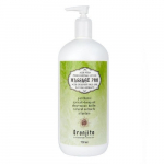 Oranjito massaažipiim aaloe veraga (Massage Pro) 750 ml 750ml