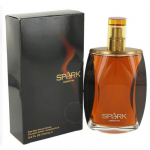 Liz Claiborne Spark meestele EDC 100ml