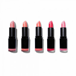 Makeup Revolution huulepulgakomplekt Revolution PRO Pinks (5 tk) 3.2 g 5 vnt