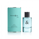 Tiffany & Co. Tiffany & Love For Him EDT 90ml
