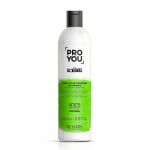 Revlon Professional Pro You The Twister Curl niisutav &scaron;ampoon (lokkis ja lainelistele juustele) 350ml