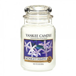 Yankee Cirle Midnight Jasmine l&otilde;hnak&uuml;&uuml;nal 104.0g