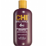 Farouk Systems CHI Deep Brilliance Optimum Moisture &scaron;ampoon juuste niisutamiseks ja l&auml;ike andmiseks. 355ml