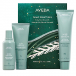 Aveda peanahahoolduskomplekt &ndash; juuksehooldustoodete kinkekomplekt rinkinys