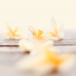 Vanilje, aroomi&otilde;li - 50 ml