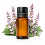 Muskaatsalvei, BIO, eeterlik &otilde;li, mahe - 10 ml