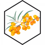 Ekstrakt seebi jaoks, astelpaju - 1 L