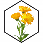 Ekstrakt seebi jaoks, saialille&otilde;ied - 1 L