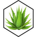 Ekstrakt seebi jaoks, aaloe - 1 L