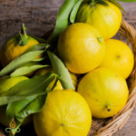 Bergamot, eeterlik &otilde;li - 250 ml