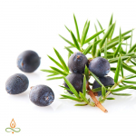 Kadakas, aroomi&otilde;li - 1 L