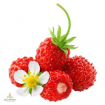 Metsmaasikas, aroomi&otilde;li - 10 ml