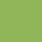 Pistaatsia, k&uuml;&uuml;nlav&auml;rv - 250g