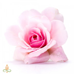 Roos 5%, eeterlik &otilde;li - 10 ml