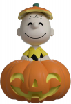 Youtooz Peanuts Pumpkin Patch Charlie Brown