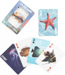 Fish 3D Playing Cards