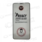 Apple iPhone 13 Pro Max kaitseklaas - ESD Anti-Static Privacy
