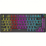 Savio Phenix Pudding, Gateron Red Pro PHENIX RED PUDDING