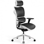 Diablo V-Commander, White/Black V-COMMANDERBIACZ